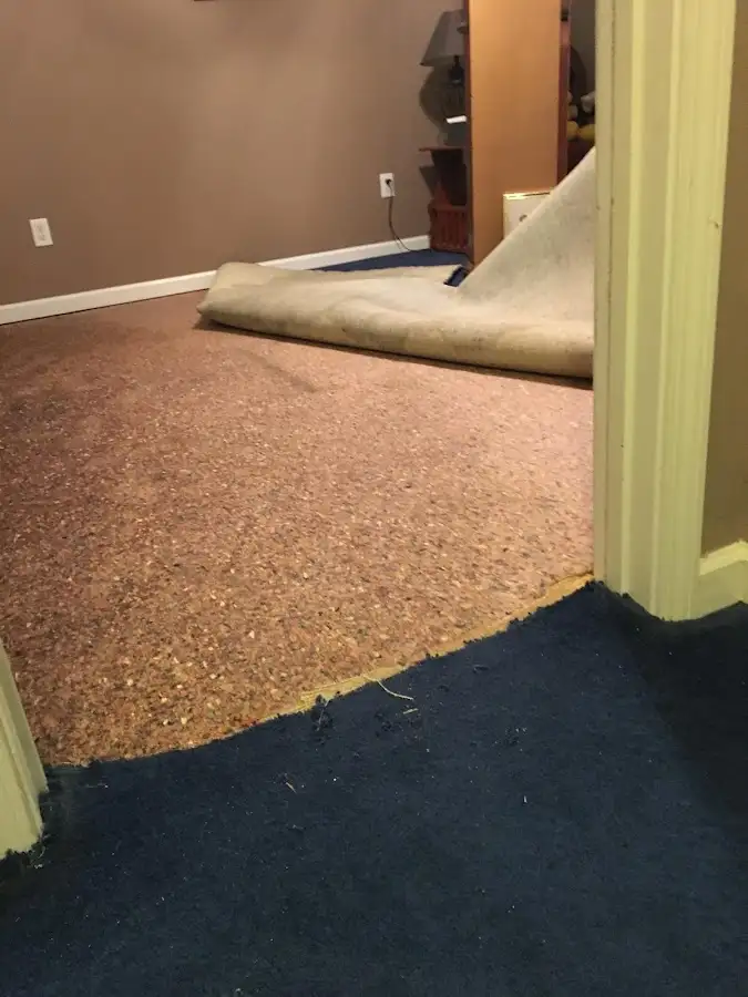 Carpet pad removal revealing water damage during Water Mitigation Services in Sherrelwood